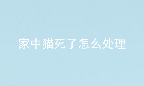家中猫死了怎么处理