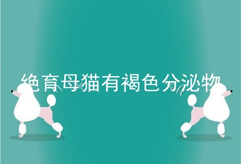 绝育母猫有褐色分泌物