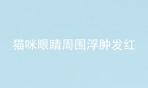 猫咪眼睛周围浮肿发红