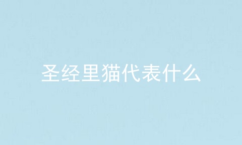 圣经里猫代表什么