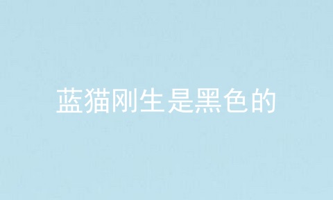 蓝猫刚生是黑色的
