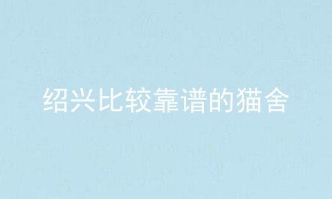 绍兴比较靠谱的猫舍