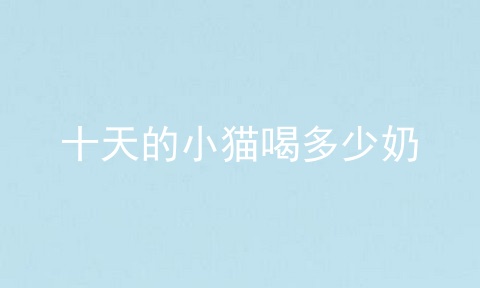 十天的小猫喝多少奶