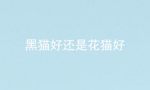 黑猫好还是花猫好