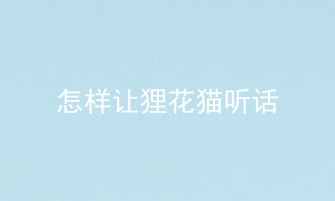 怎样让狸花猫听话