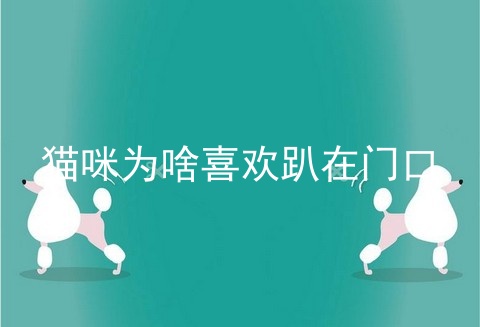 猫咪为啥喜欢趴在门口