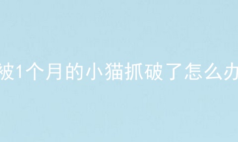 被1个月的小猫抓破了怎么办