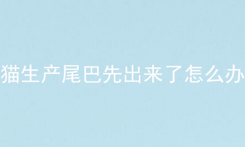 猫生产尾巴先出来了怎么办