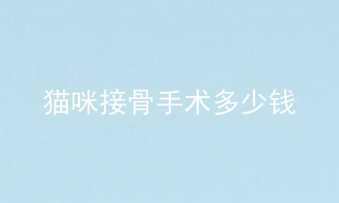 猫咪接骨手术多少钱