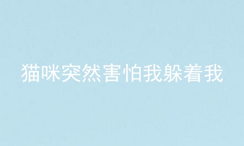 猫咪突然害怕我躲着我