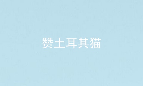 赞土耳其猫