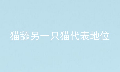 猫舔另一只猫代表地位