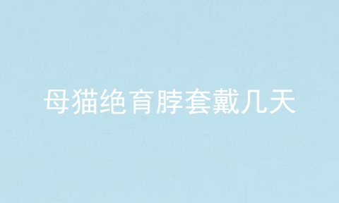 母猫绝育脖套戴几天