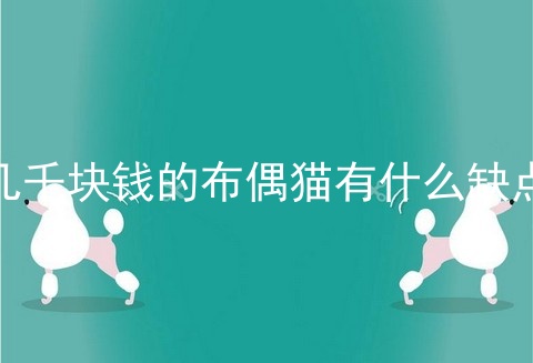 几千块钱的布偶猫有什么缺点