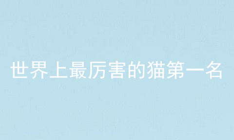 世界上最厉害的猫第一名