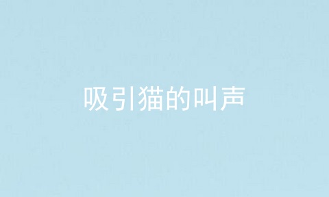 吸引猫的叫声