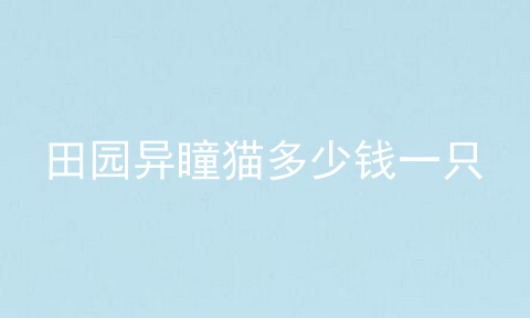 田园异瞳猫多少钱一只