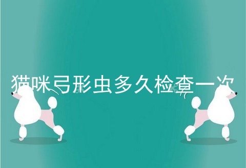 猫咪弓形虫多久检查一次