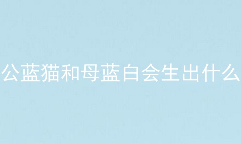 公蓝猫和母蓝白会生出什么