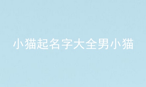 小猫起名字大全男小猫