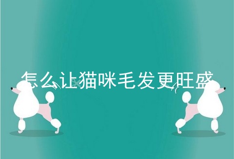 怎么让猫咪毛发更旺盛