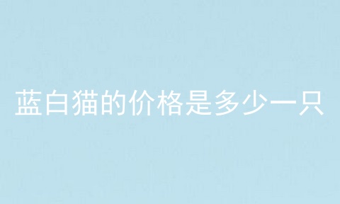 蓝白猫的价格是多少一只