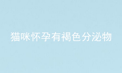 猫咪怀孕有褐色分泌物