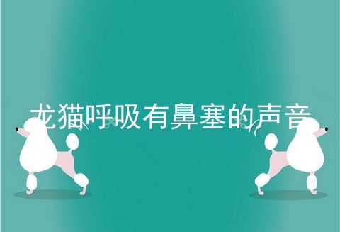 龙猫呼吸有鼻塞的声音