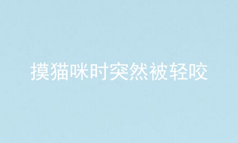 摸猫咪时突然被轻咬