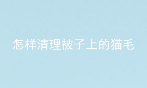 怎样清理被子上的猫毛
