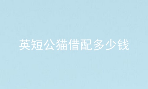 英短公猫借配多少钱