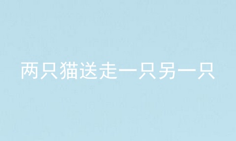 两只猫送走一只另一只