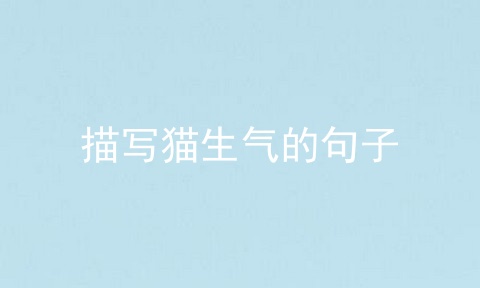 描写猫生气的句子