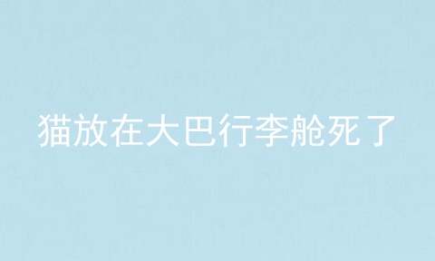 猫放在大巴行李舱死了
