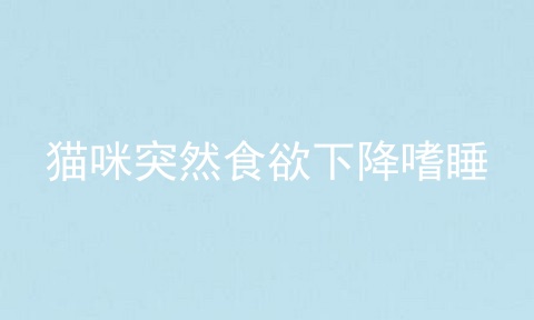 猫咪突然食欲下降嗜睡