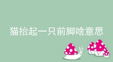 猫抬起一只前脚啥意思