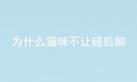 为什么猫咪不让碰后脚