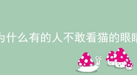 为什么有的人不敢看猫的眼睛