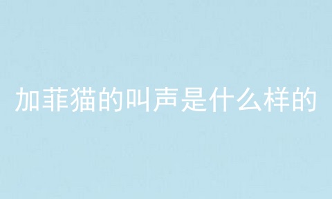 加菲猫的叫声是什么样的