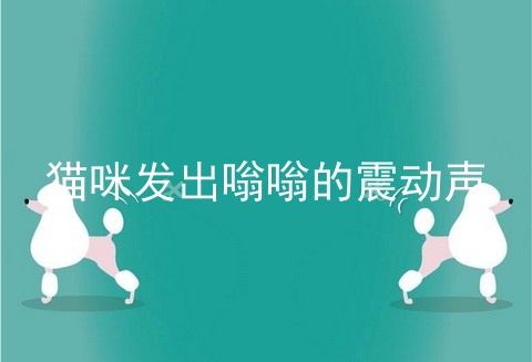 猫咪发出嗡嗡的震动声