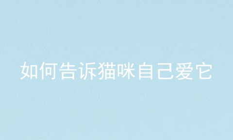 如何告诉猫咪自己爱它