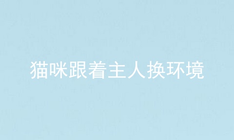 猫咪跟着主人换环境