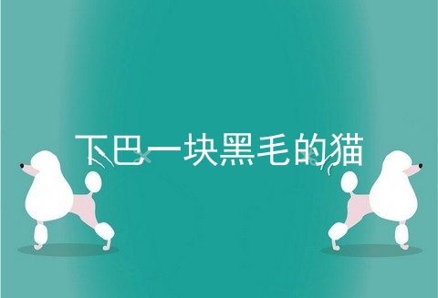 下巴一块黑毛的猫