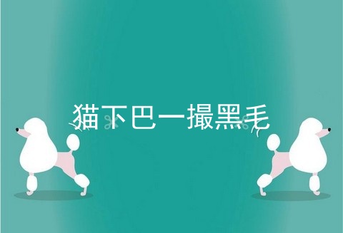 猫下巴一撮黑毛
