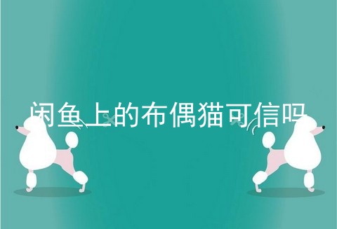 闲鱼上的布偶猫可信吗
