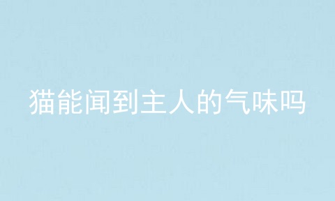 猫能闻到主人的气味吗