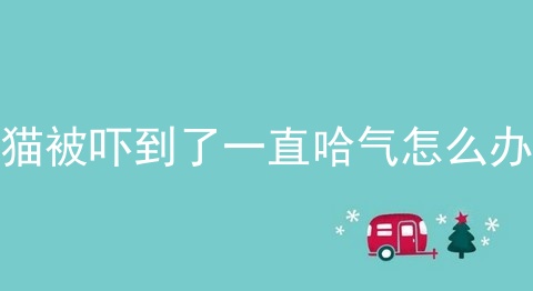 猫被吓到了一直哈气怎么办