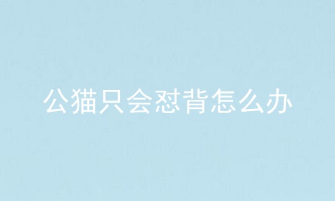 公猫只会怼背怎么办