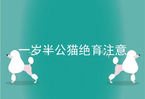 一岁半公猫绝育注意