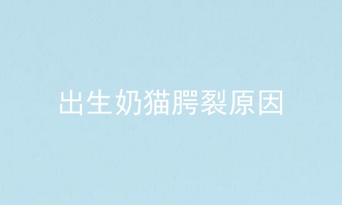 出生奶猫腭裂原因